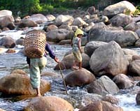 Nhìn lại 5 năm phòng chống sốt rét (2006-2010), các chỉ sốt rét khu vực miền Trung-Tây Nguyên năm 2010 có gì khác biệt so với năm 2006 ?