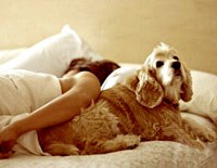 Nguy cơ lây nhiễm bệnh từ động vật sang người-Cần hiểu biết thấu đáo và phòng tránh tích cực