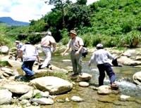 Đặc điểm phân vùng dịch tễ sốt rét can thiệp miền Trung-Tây Nguyên năm 2009