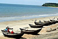 Muỗi Anopheles epiroticus truyền bệnh sốt rét ở vùng ven biển nước lợ