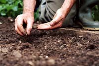 Bệnh của người làm vườn – Gardener’s disease 