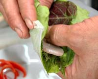 Bệnh sán lá gan lớn và các bệnh ký sinh đường ruột ở khu vực miền Trung-Tây Nguyên có xu hướng tăng cao trong 4 tháng đầu năm 2011