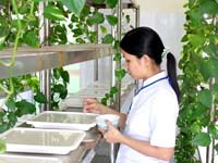 Tình hình sốt rét, các bệnh ký sinh trùng đường ruột và hoạt động chính của Viện Sốt rét-KST-CT Quy Nhơn 3 tháng đầu năm 2011