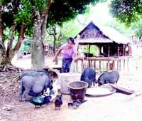 Tìm hiểu về người dân tộc thiểu số Chứt