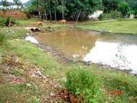 Mùa truyền bệnh, dịch sốt rét và ngưỡng dự báo dịch sốt rét