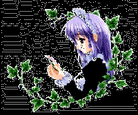 Vườn hoa nhà nàng