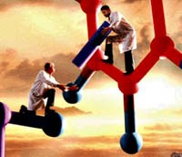 Một số phương pháp nghiên cứu khoa học ứng dụng trong phòng chống bệnh sốt rét 