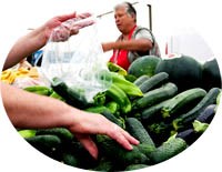 Ngộ độc thực phẩm nhiễm khuẩn E.coli dẫn đến hội chứng tăng u rê huyết và tan máu (HUS) nguy hiểm đến tính mạng người bệnh