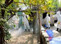 Tỉnh Quảng Trị tăng cường phòng chống dịch mùa hè