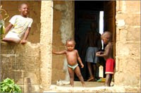 10 thực tế về bệnh sốt rét