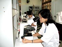 Kế hoạch hoạt động vì sự tiến bộ của phụ nữ ngành y tế năm 2011