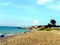 Kết quả giám sát véc tơ truyền bệnh sốt rét tại “điểm nóng” xã Bình Thạnh, huyện Tuy Phong, tỉnh Bình Thuận