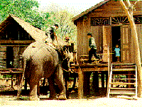 Người dân tộc thiểu số M’Nông