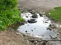 Cảnh báo nguy cơ sốt rét gia tăng ở vùng sốt rét có nguy cơ quay trở lại