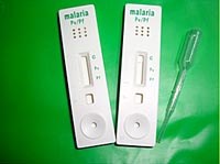 Các vấn đề khi phiên giải và phân tích kết quả test chẩn đoán nhanh ký sinh trùng sốt rét (Carestart Malaria pLDH/HRP2 (Pan P.f) Combo test)
