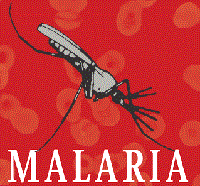 Phương pháp xét nghiệm sinh học phân tử (PCR) phát hiện sốt rét trong nước tiểu bệnh nhân