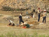 Cảnh báo sốt rét gia tăng do trầm, vàng