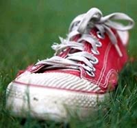 Mùi tất có thể giúp phòng bệnh sốt rét