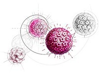 Một phương pháp đơn giản sàng lọc ung thư cổ tử cung