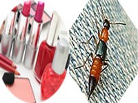 Chẩn đoán phân biệt bệnh lý da thường gặp với biểu hiện da do ký sinh trùng