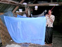 Cần bảo vệ phụ nữ có thai sống ở vùng sốt rét