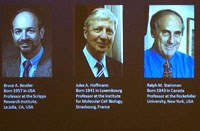 3 nhà khoa học chia nhau giải Nobel Y học 2011