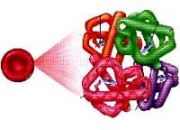 Mức độ mất máu và chỉ định truyền máu cấp cứu