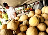 Điểm báo về các thông tin liên quan đến y tế ngày 6/10 & ngày 7/10 năm 2011