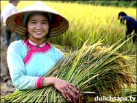 Người dân tộc thiểu số Giáy