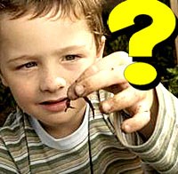 Trả lời câu hỏi bạn đọc về chuyên ngành sốt rét, ký sinh trùng, côn trùng tháng 10 năm 2011 (tiếp theo)