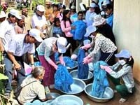 Chiến lược phòng chống và loại trừ bệnh sốt rét giai đoạn 2011-2030