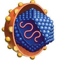 Điểm báo về các thông tin liên quan đến y tế ngày 21/11 & 22/11 năm 2011