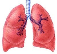 Phổi có thể bị tổn thương do bệnh sốt rét?