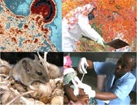 14 đột phá khoa học lớn nhất trong năm 2011