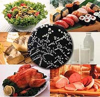 Ngộ độc thực phẩm thời gian cận tết