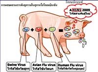 Thế giới lại xuất hiện thêm một chủng vius cúm mới S-Otr H3N2