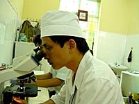 Cảnh báo sốt rét gia tăng và nguy cơ sốt rét quay trở lại ở tỉnh Binh Định và Gia Lai 11 tháng năm 2011