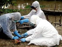 Điểm báo về các thông tin liên quan đến y tế ngày 4/1 và 5/1 năm 2012