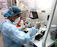 Tình hình dịch bệnh truyền nhiễm và hoạt động y tế dự phòng tháng 12 năm 2011