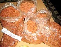 Điểm báo về các thông tin liên quan y tế ngày 10/1 và 11/1 năm 2012