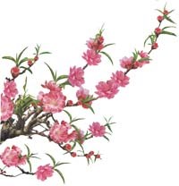 Viện Sốt rét-KST-CT Quy Nhơn 35 năm kỳ tích