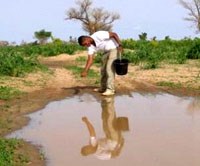 Cải thiện môi trường: biện pháp cũ nhưng mang lại hiệu quả mới trong phòng chồng muỗi sốt rét