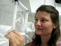 Việt Nam chưa thả muỗi biến đổi gene