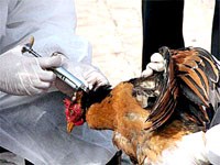 Điểm báo về các thông tin liên ngày 8/2 & 9/2 năm 2012 