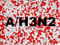 Phát hiện ca nhiễm cúm A/H3N2 đầu tiên có nguồn gốc từ lợn