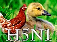 Điểm báo về các thông tin liên quan đến y tế ngày 14/2 và 15/2 năm 2012