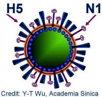 Cập nhật thông tin bệnh truyền nhiễm nguy hiểm trên thế giới và Việt Nam