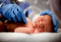 Điểm báo về các thông tin liên quan đến y tế ngày 1/3 & 2/3 năm 2012 