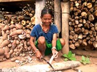 Miền Trung-Tây Nguyên đang ẩn mình trong ngọn “Hỏa Diệm Sơn” sốt rét