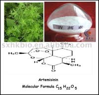 Chưa có bằng chứng khoa học về gen ứng cử đột biến với tính kháng bền vững của ký sinh trùng sốt rét với thuốc chống sốt rét artemisinine